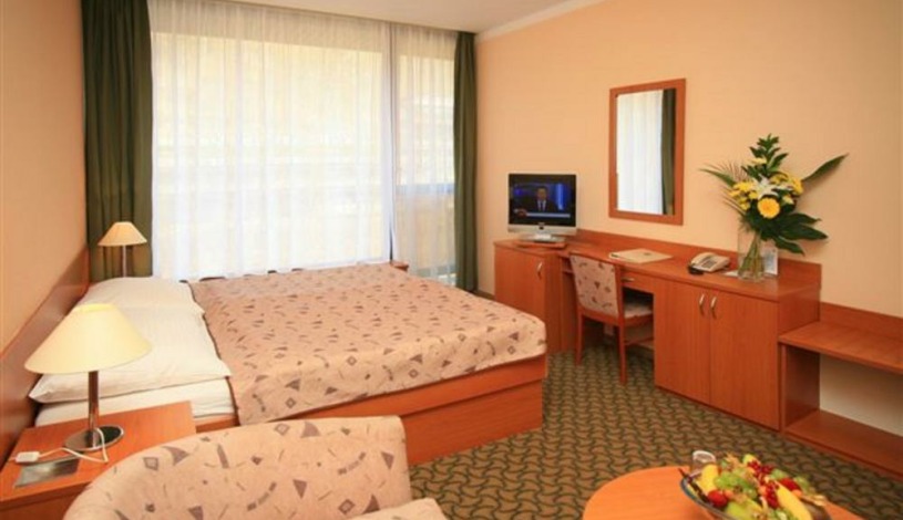 SPA HOTEL THERMAL**** Karlovy Vary - Dvoulůžkový pokoj